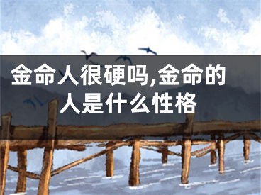 金命人很硬吗,金命的人是什么性格