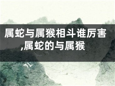 属蛇与属猴相斗谁厉害,属蛇的与属猴