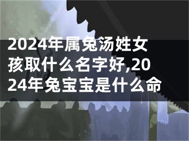 2024年属兔汤姓女孩取什么名字好,2024年兔宝宝是什么命