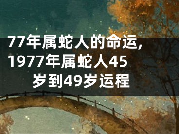 77年属蛇人的命运,1977年属蛇人45岁到49岁运程