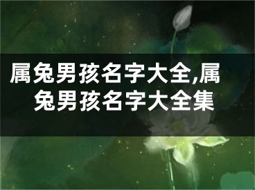 属兔男孩名字大全,属兔男孩名字大全集