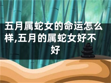 五月属蛇女的命运怎么样,五月的属蛇女好不好