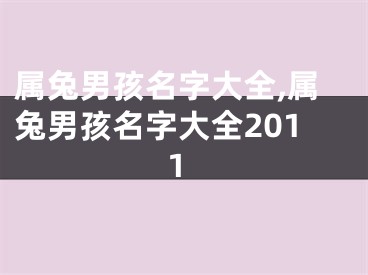 属兔男孩名字大全,属兔男孩名字大全2011