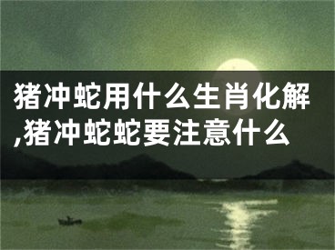 猪冲蛇用什么生肖化解,猪冲蛇蛇要注意什么