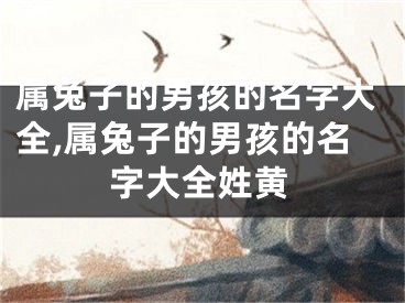 属兔子的男孩的名字大全,属兔子的男孩的名字大全姓黄