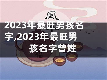 2023年最旺男孩名字,2023年最旺男孩名字曾姓