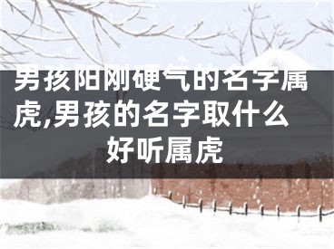 男孩阳刚硬气的名字属虎,男孩的名字取什么好听属虎