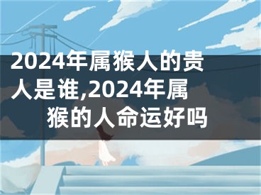 2024年属猴人的贵人是谁,2024年属猴的人命运好吗