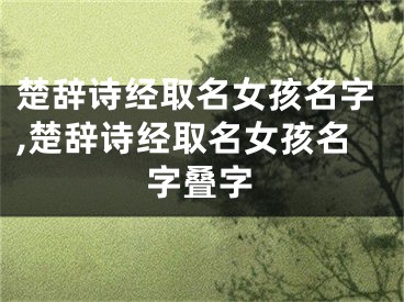 楚辞诗经取名女孩名字,楚辞诗经取名女孩名字叠字