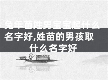 兔年苗姓男宝宝起什么名字好,姓苗的男孩取什么名字好