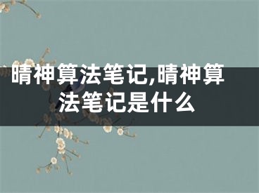 晴神算法笔记,晴神算法笔记是什么