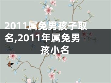 2011属兔男孩子取名,2011年属兔男孩小名
