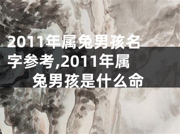 2011年属兔男孩名字参考,2011年属兔男孩是什么命