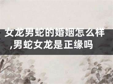 女龙男蛇的婚姻怎么样,男蛇女龙是正缘吗