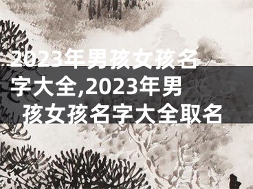 2023年男孩女孩名字大全,2023年男孩女孩名字大全取名