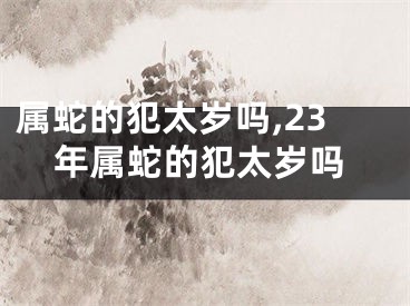 属蛇的犯太岁吗,23年属蛇的犯太岁吗