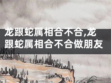 龙跟蛇属相合不合,龙跟蛇属相合不合做朋友
