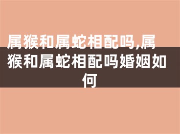 属猴和属蛇相配吗,属猴和属蛇相配吗婚姻如何