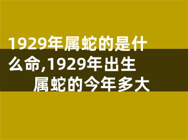 1929年属蛇的是什么命,1929年出生属蛇的今年多大
