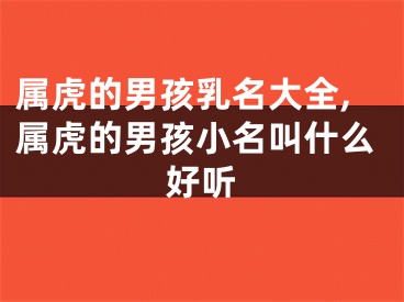 属虎的男孩乳名大全,属虎的男孩小名叫什么好听