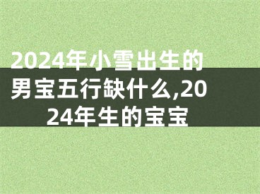2024年小雪出生的男宝五行缺什么,2024年生的宝宝