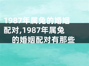 1987年属兔的婚姻配对,1987年属兔的婚姻配对有那些