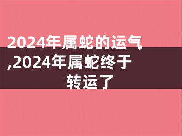 2024年属蛇的运气,2024年属蛇终于转运了