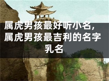 属虎男孩最好听小名,属虎男孩最吉利的名字乳名