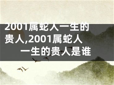 2001属蛇人一生的贵人,2001属蛇人一生的贵人是谁