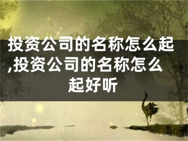 投资公司的名称怎么起,投资公司的名称怎么起好听