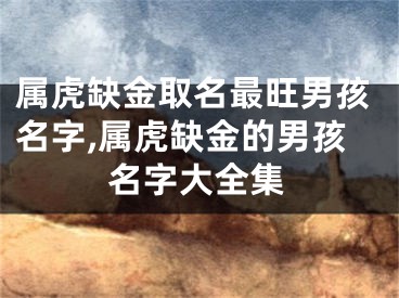 属虎缺金取名最旺男孩名字,属虎缺金的男孩名字大全集