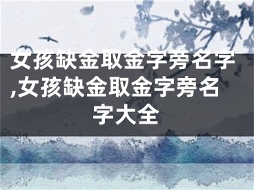 女孩缺金取金字旁名字,女孩缺金取金字旁名字大全