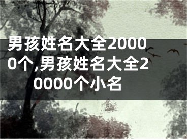 男孩姓名大全20000个,男孩姓名大全20000个小名