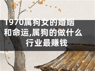 1970属狗女的婚姻和命运,属狗的做什么行业最赚钱