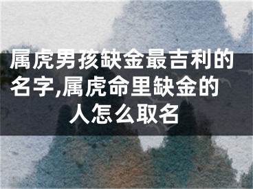 属虎男孩缺金最吉利的名字,属虎命里缺金的人怎么取名