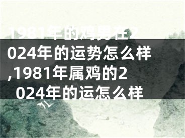 1981年的鸡男在2024年的运势怎么样,1981年属鸡的2024年的运怎么样