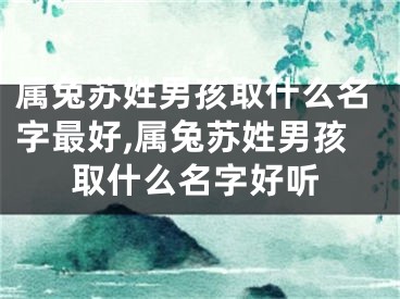属兔苏姓男孩取什么名字最好,属兔苏姓男孩取什么名字好听