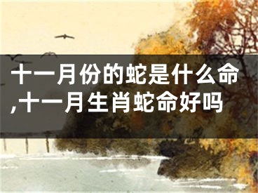 十一月份的蛇是什么命,十一月生肖蛇命好吗