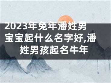 2023年兔年潘姓男宝宝起什么名字好,潘姓男孩起名牛年