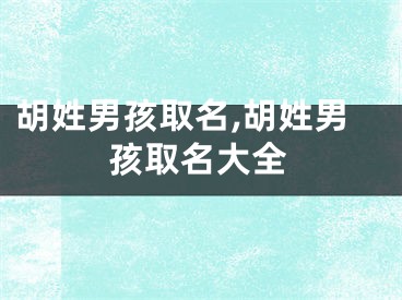胡姓男孩取名,胡姓男孩取名大全
