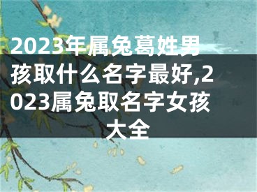 2023年属兔葛姓男孩取什么名字最好,2023属兔取名字女孩大全
