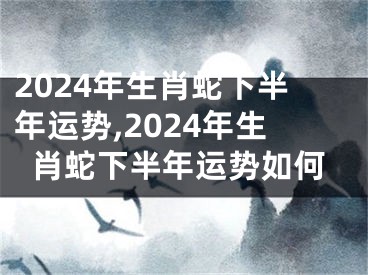 2024年生肖蛇下半年运势,2024年生肖蛇下半年运势如何