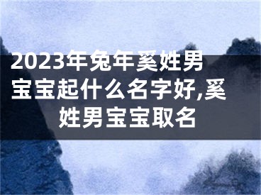 2023年兔年奚姓男宝宝起什么名字好,奚姓男宝宝取名