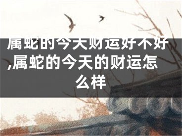 属蛇的今天财运好不好,属蛇的今天的财运怎么样