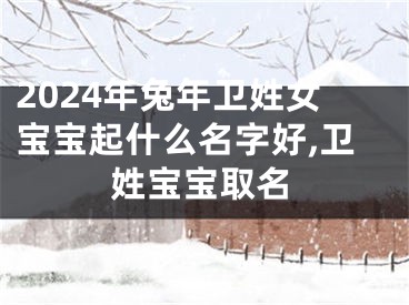 2024年兔年卫姓女宝宝起什么名字好,卫姓宝宝取名