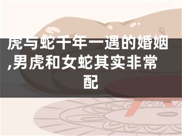 虎与蛇千年一遇的婚姻,男虎和女蛇其实非常配