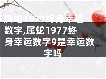 属蛇1977终身幸运数字,属蛇1977终身幸运数字9是幸运数字吗