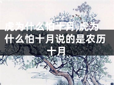 虎为什么怕十月,虎为什么怕十月说的是农历十月