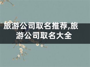 旅游公司取名推荐,旅游公司取名大全
