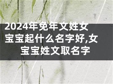 2024年免年文姓女宝宝起什么名字好,女宝宝姓文取名字